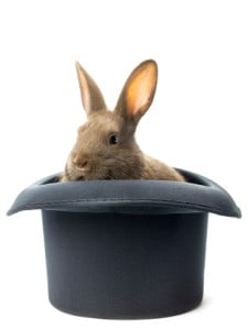 rabbit inside the hat