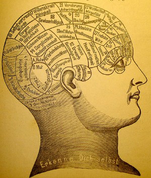 Phrenology Brain
